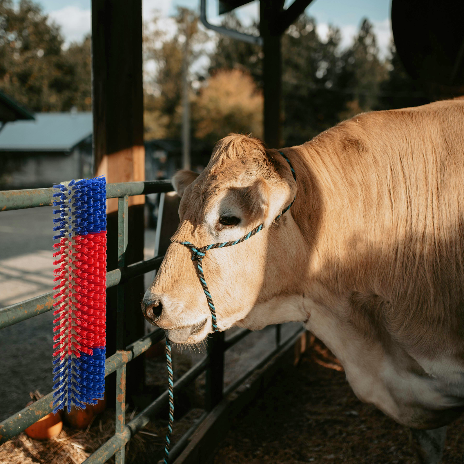 Cattle Brushes Wall-Mounted 20x9x50 cm