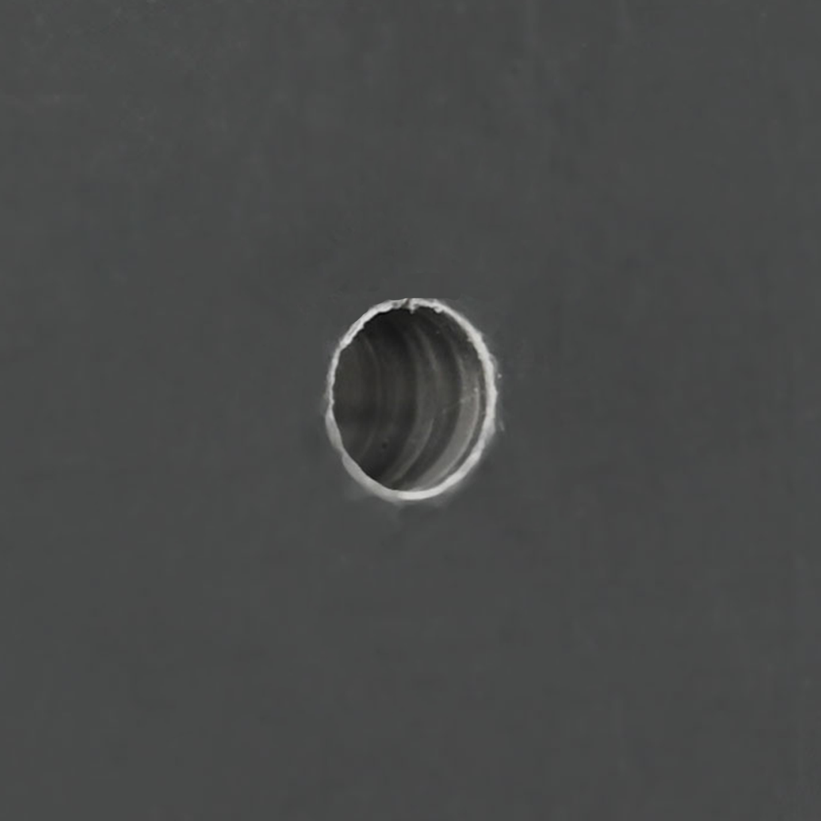 Cattle Brushes Wall-Mounted 50x10x6.5 cm - Image 7