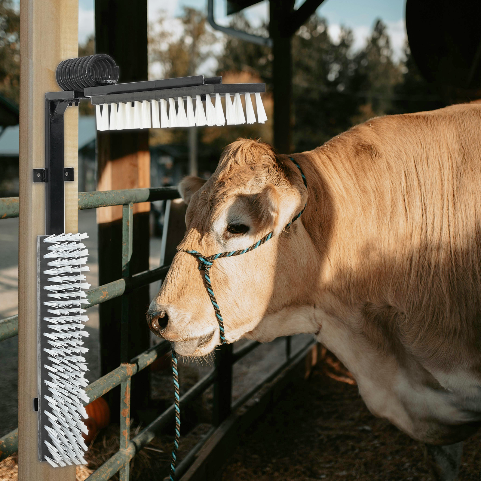 Cattle Brushes Wall-Mounted 84x10x91 cm