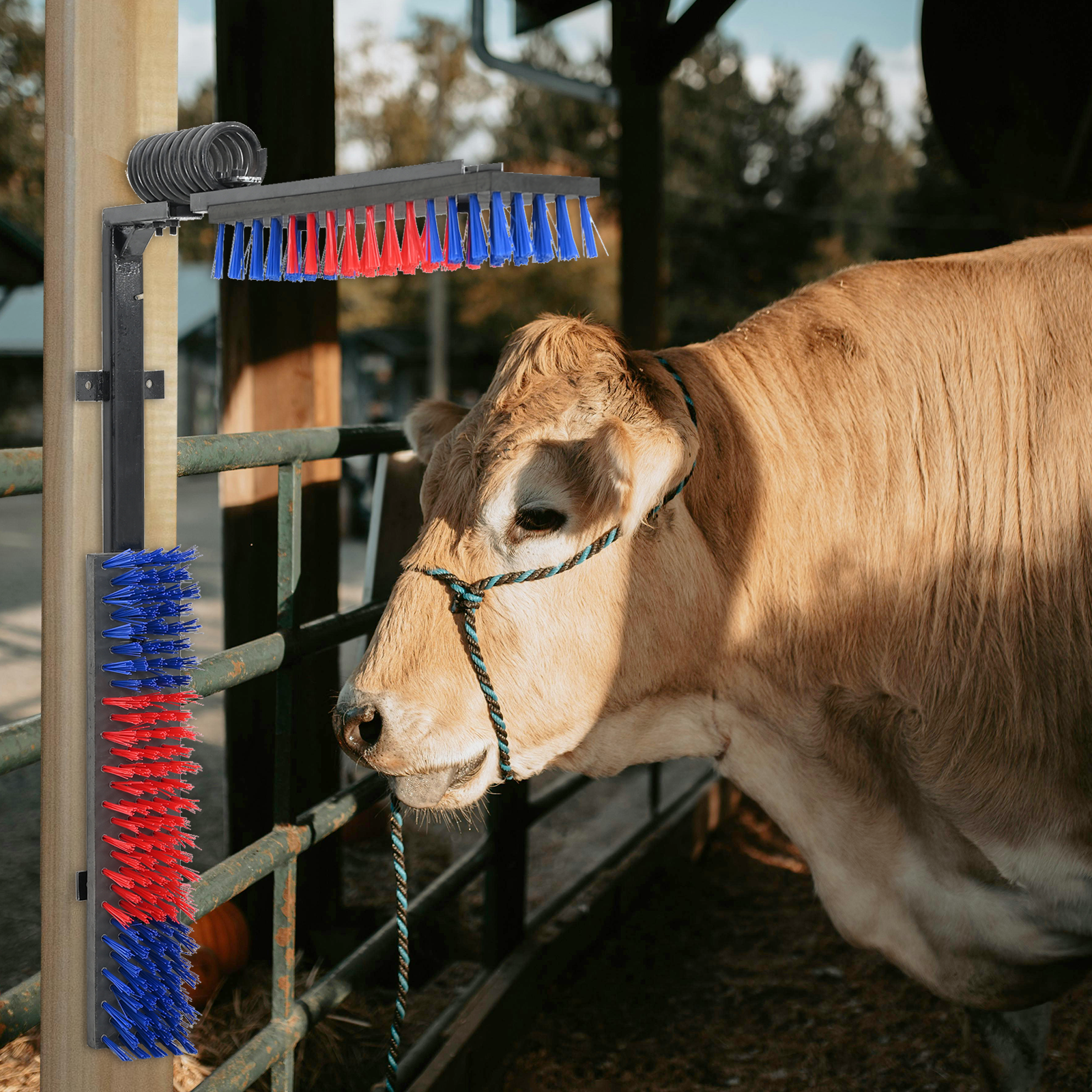 Cattle Brushes Wall-Mounted 84x10x91 cm