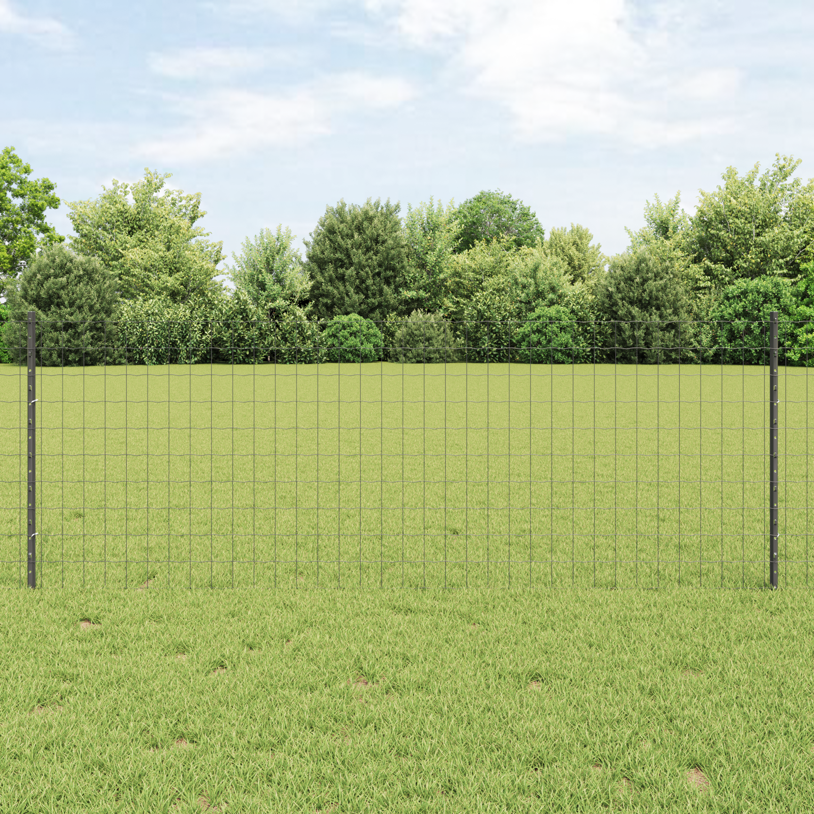 Euro Fence with 5 U Posts Grey 0,8x10 m Steel