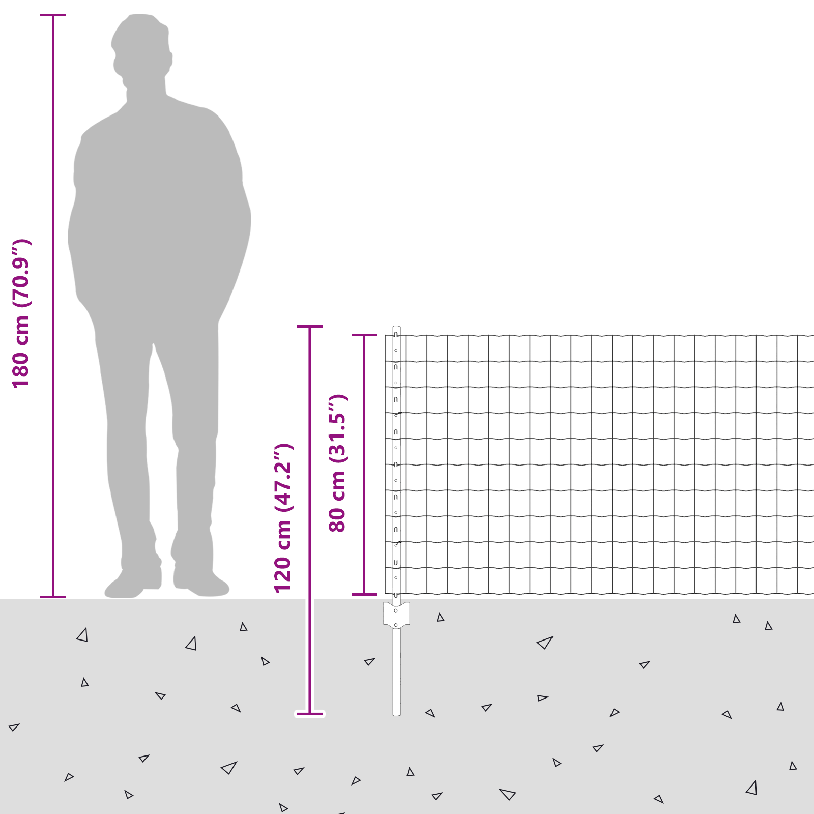 Euro Fence with 5 U Posts Grey 0,8x10 m Steel - Image 11