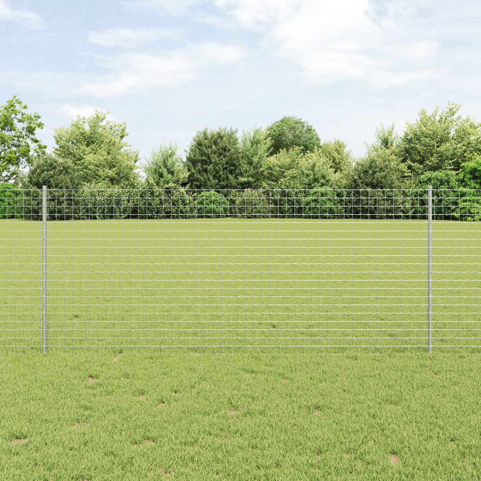 Euro Fence with 10 U Posts Silver 1x10 m Steel