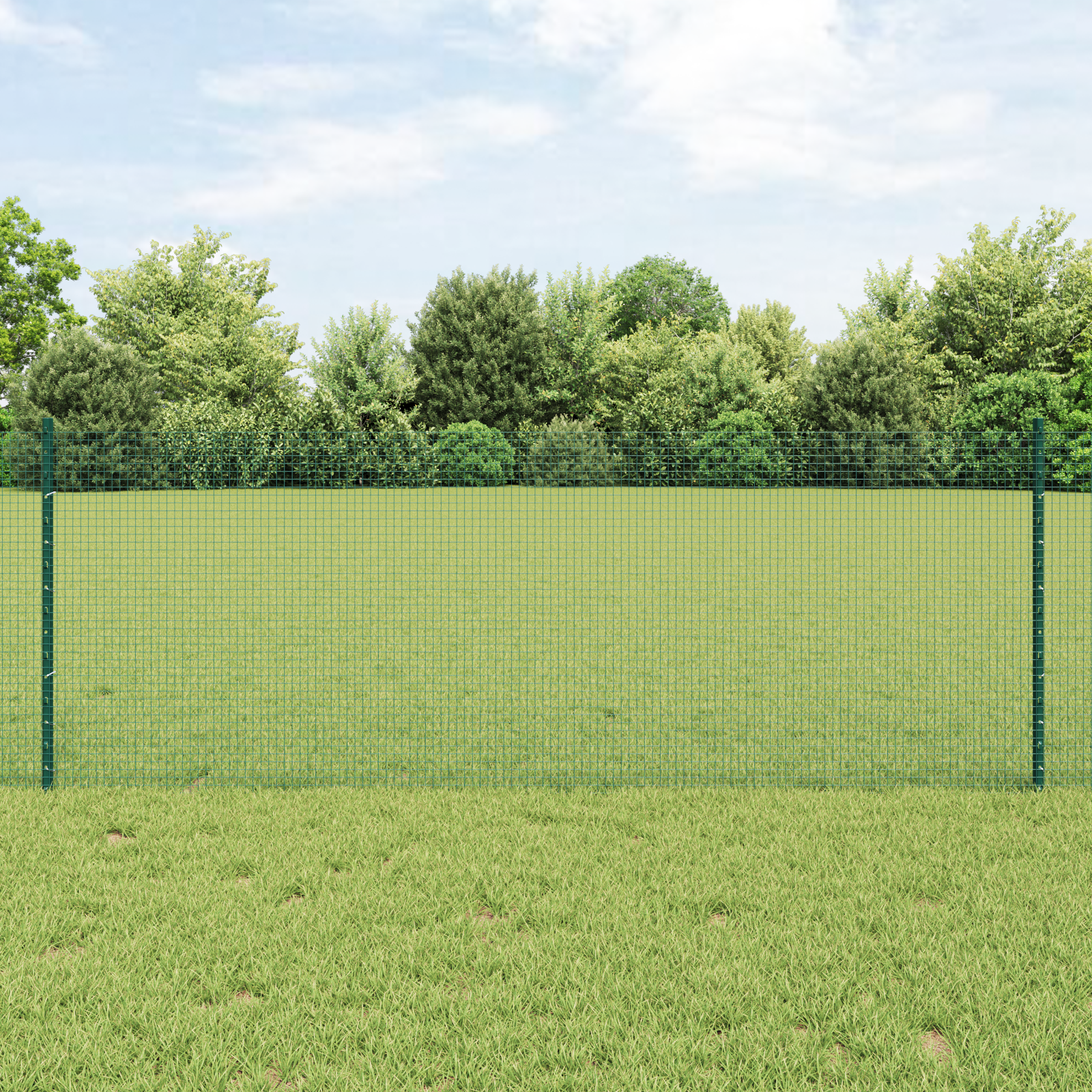 Welded Wire Fence with 5 U Posts Green 0.8x10 m Steel