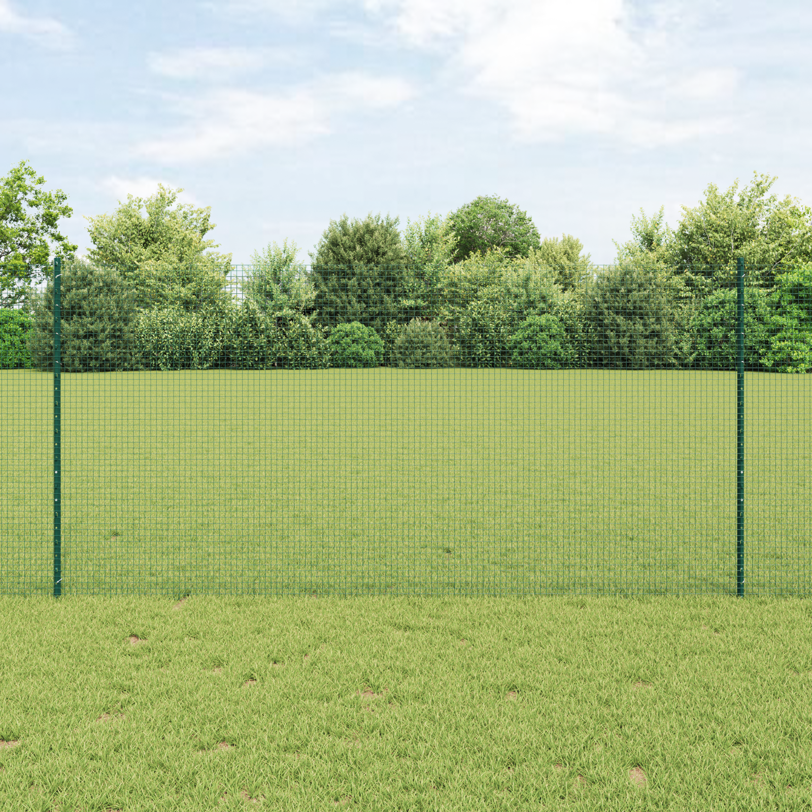 Welded Wire Fence with 5 U Posts Green 1.2x10 m Steel