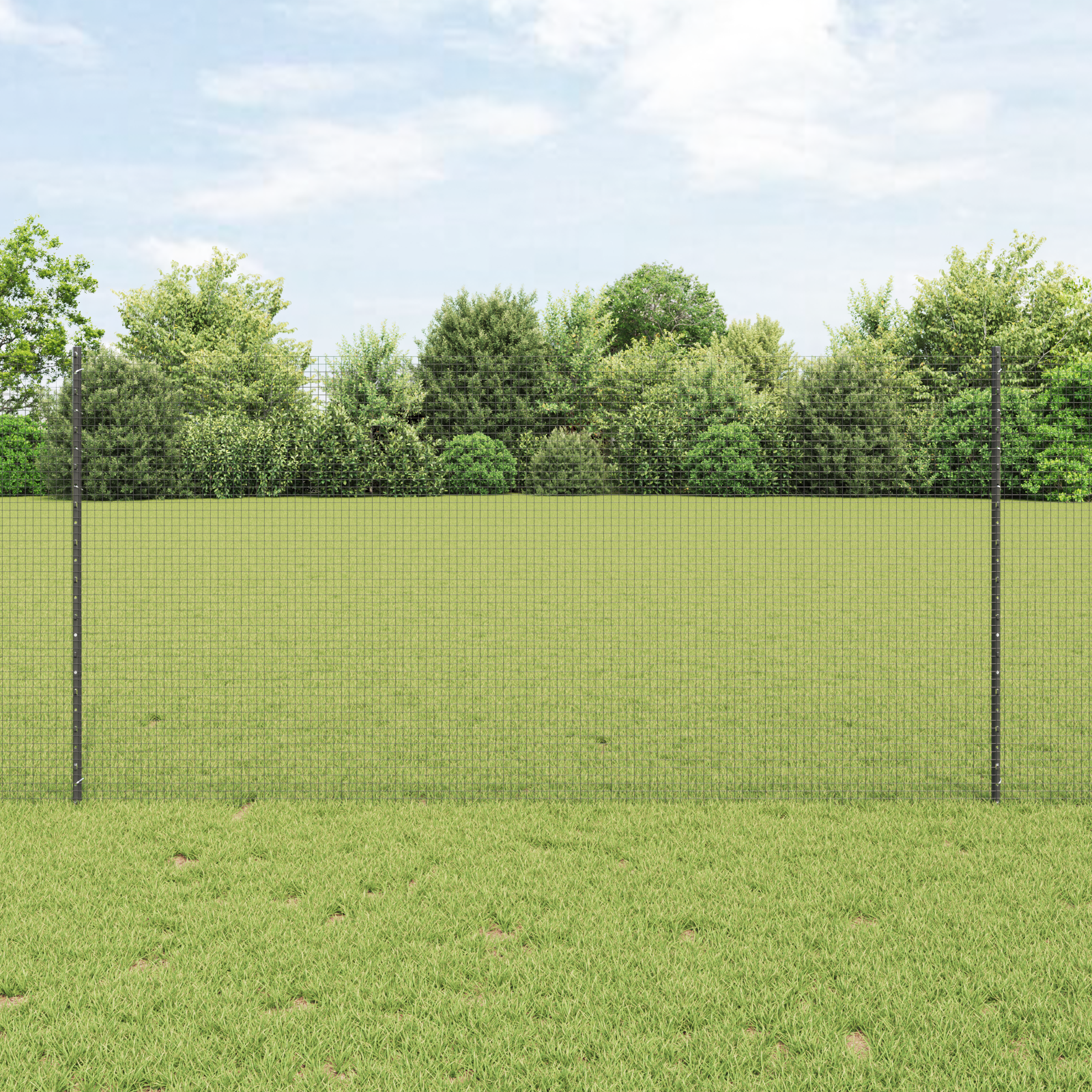 Welded Wire Fence with 10 U Posts Grey 1.2x10 m Steel