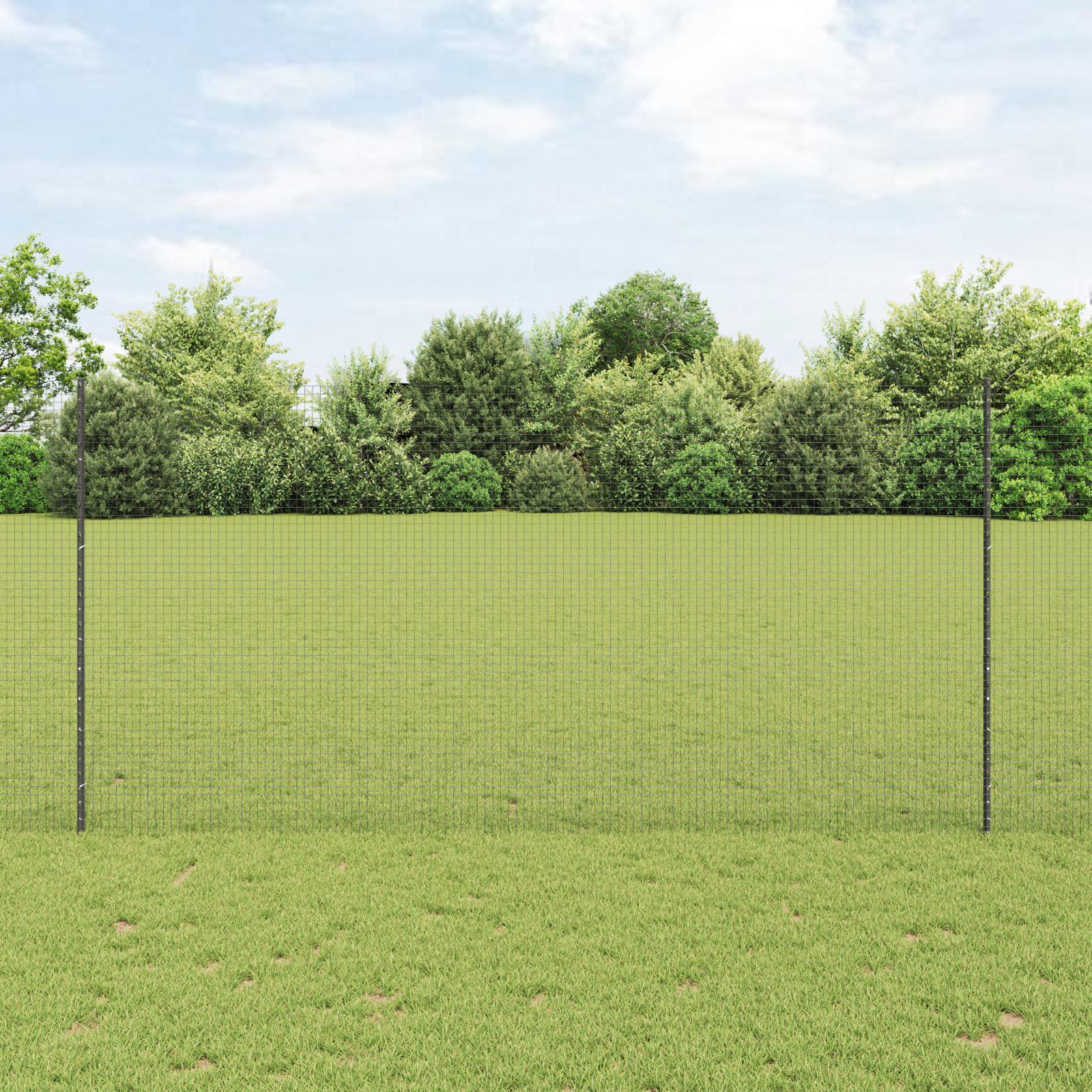 Welded Wire Fence with 10 U Posts Grey 1,6x10 m Steel
