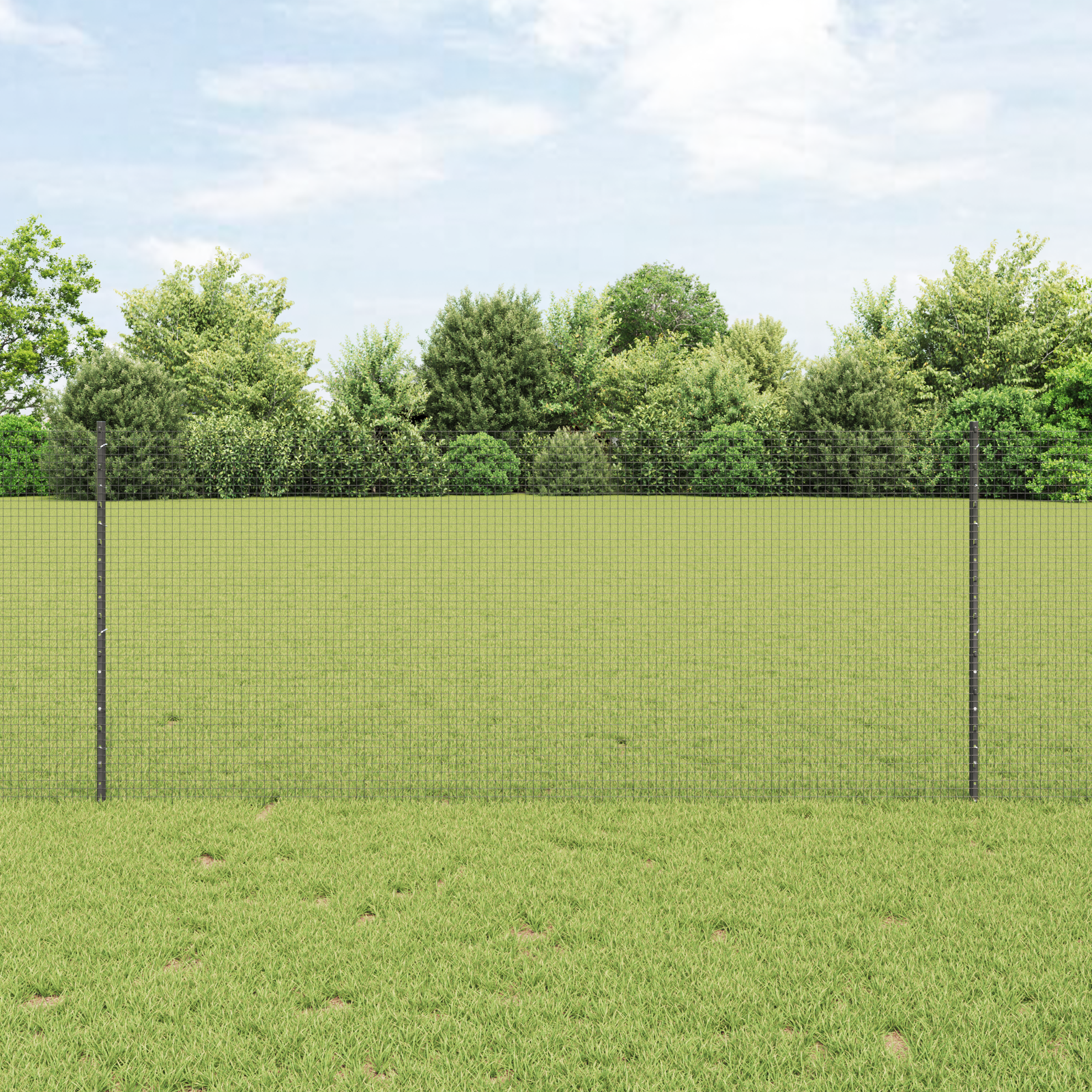 Welded Wire Fence with 44 U Posts Grey 1x50 m Steel