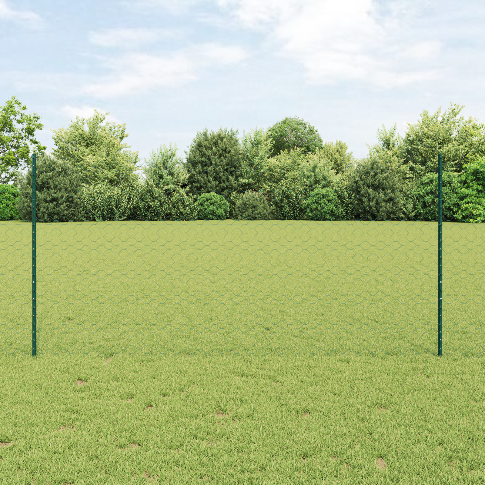 Hexagon Gaashekje Set Set van 2 Groen Staal 25 x 1.2 m hek