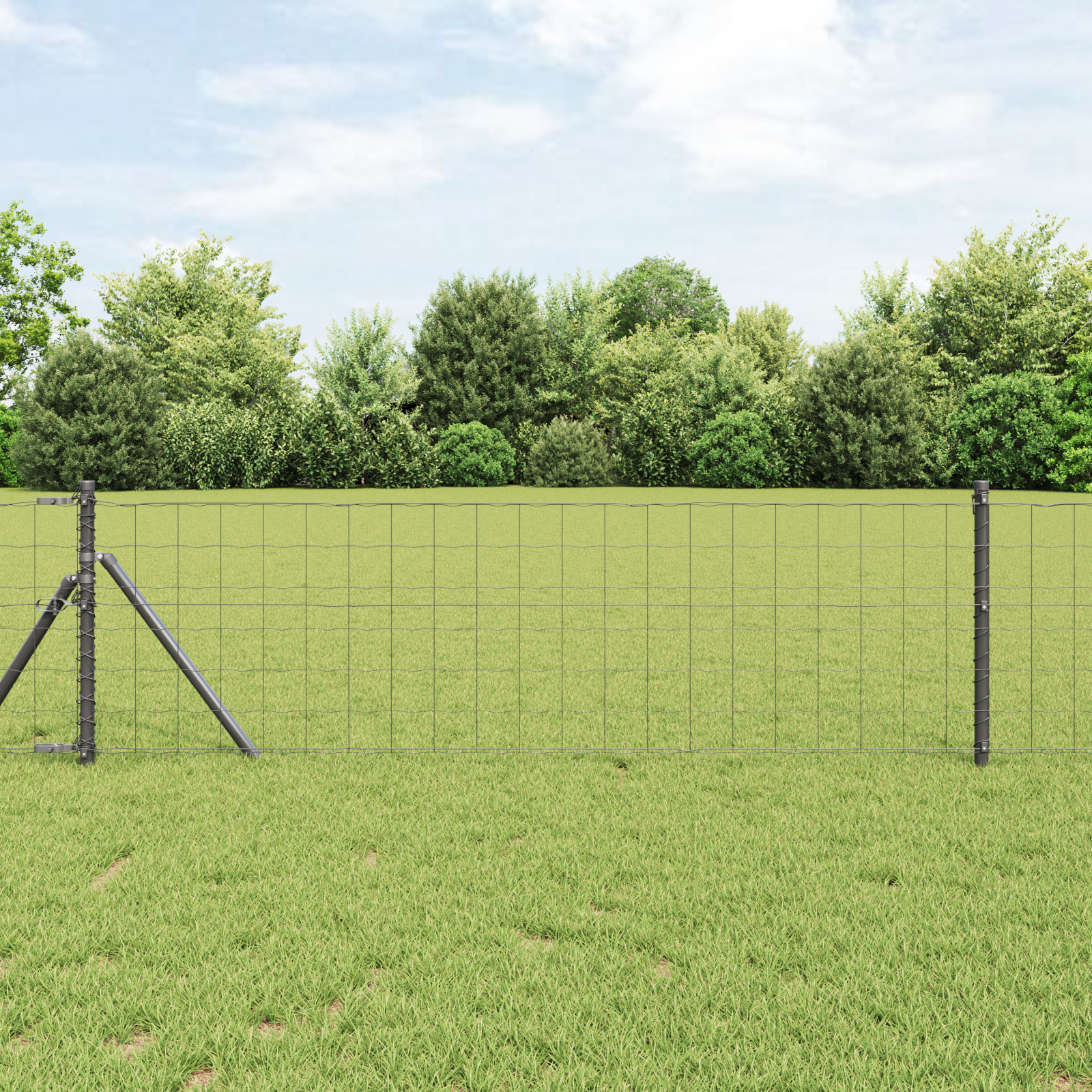 Euro Fence with 13 Posts 0.6x50 m Galvanised Steel Grey