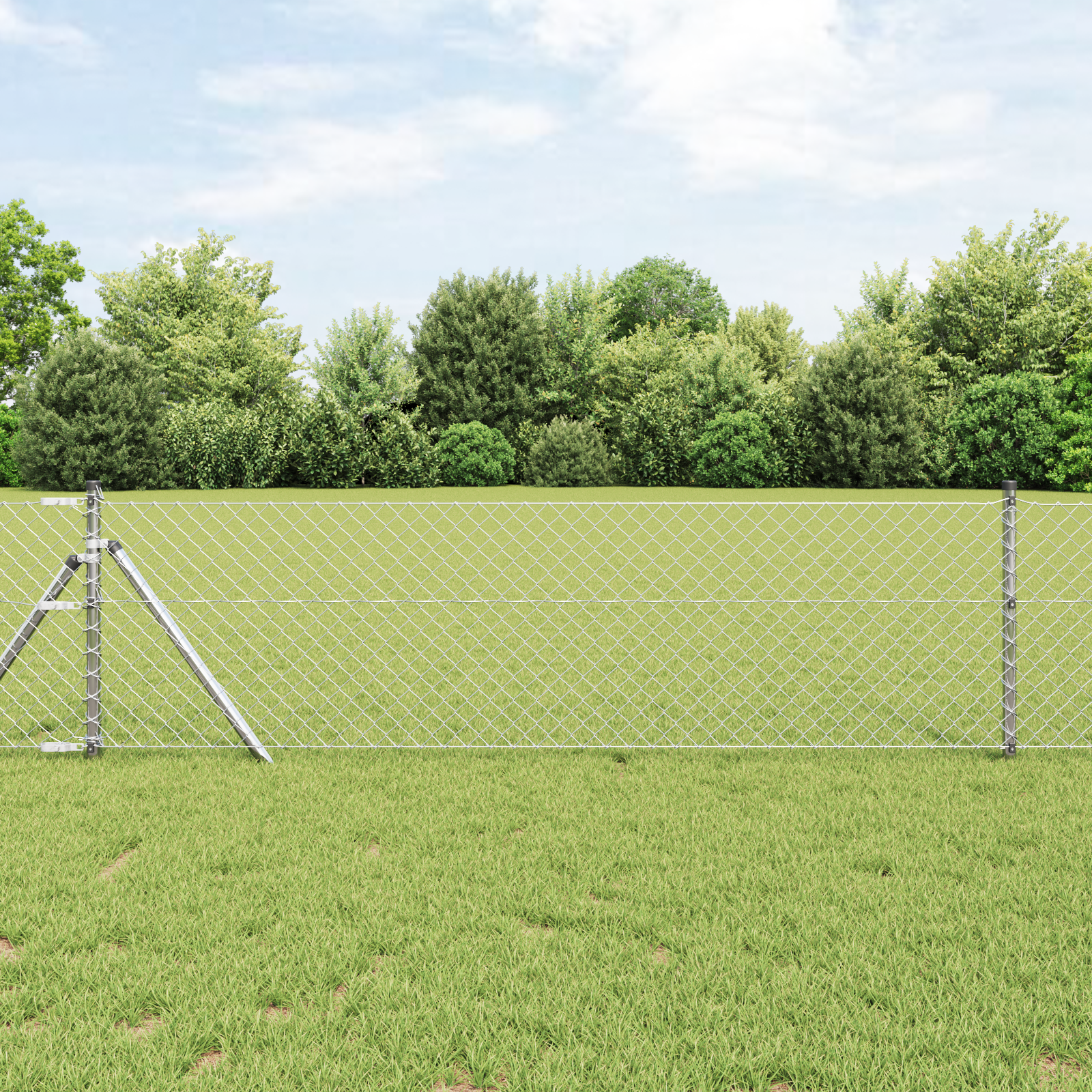 Chain Link Fence with 7 Posts 0.8x10 m Galvanised Steel