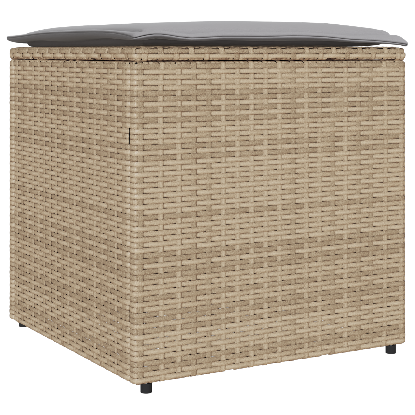 lauko saugojimo dėžė Smėlio spalvos Sintetinis rotangas Vidutinė - Image 2