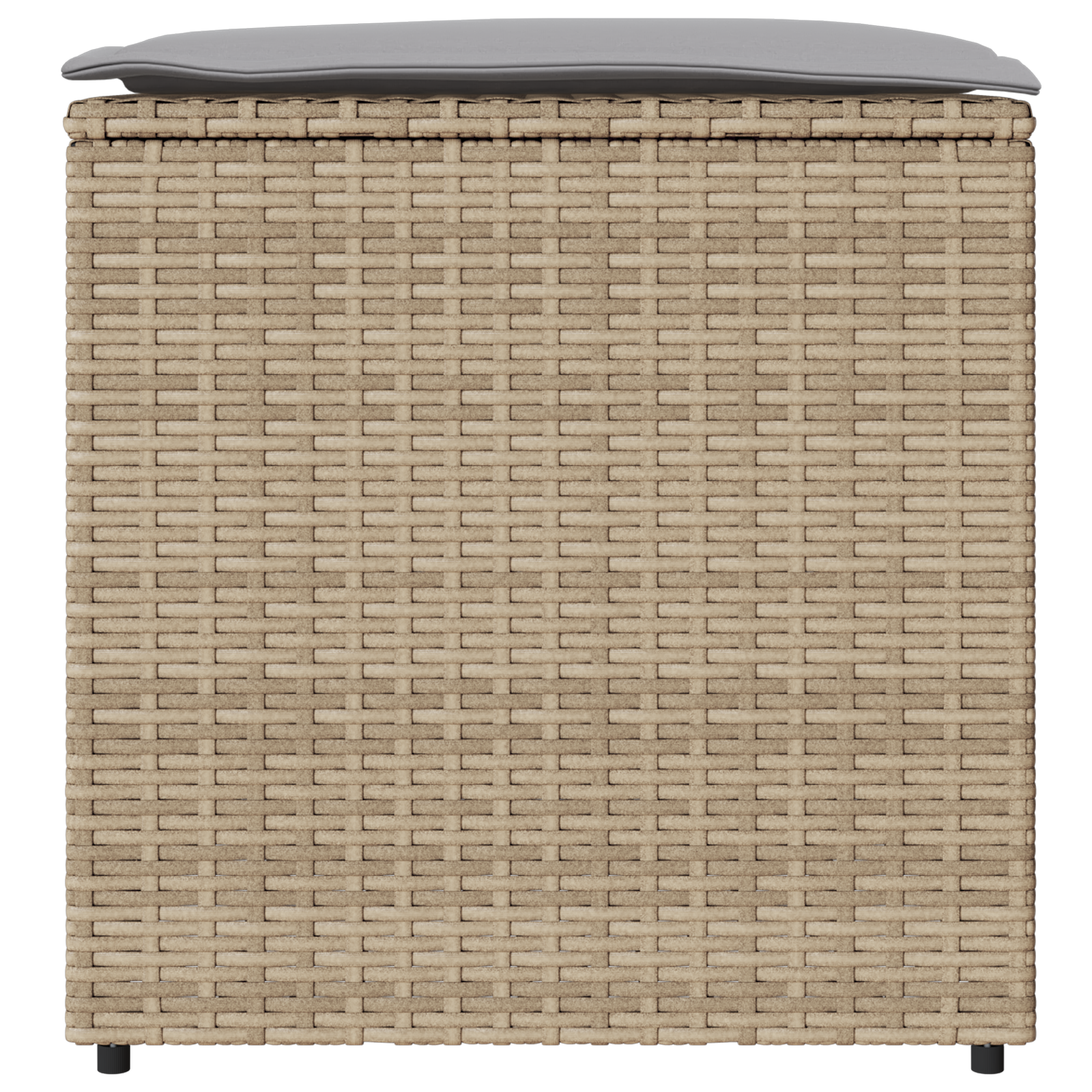 lauko saugojimo dėžė Smėlio spalvos Sintetinis rotangas Vidutinė - Image 5
