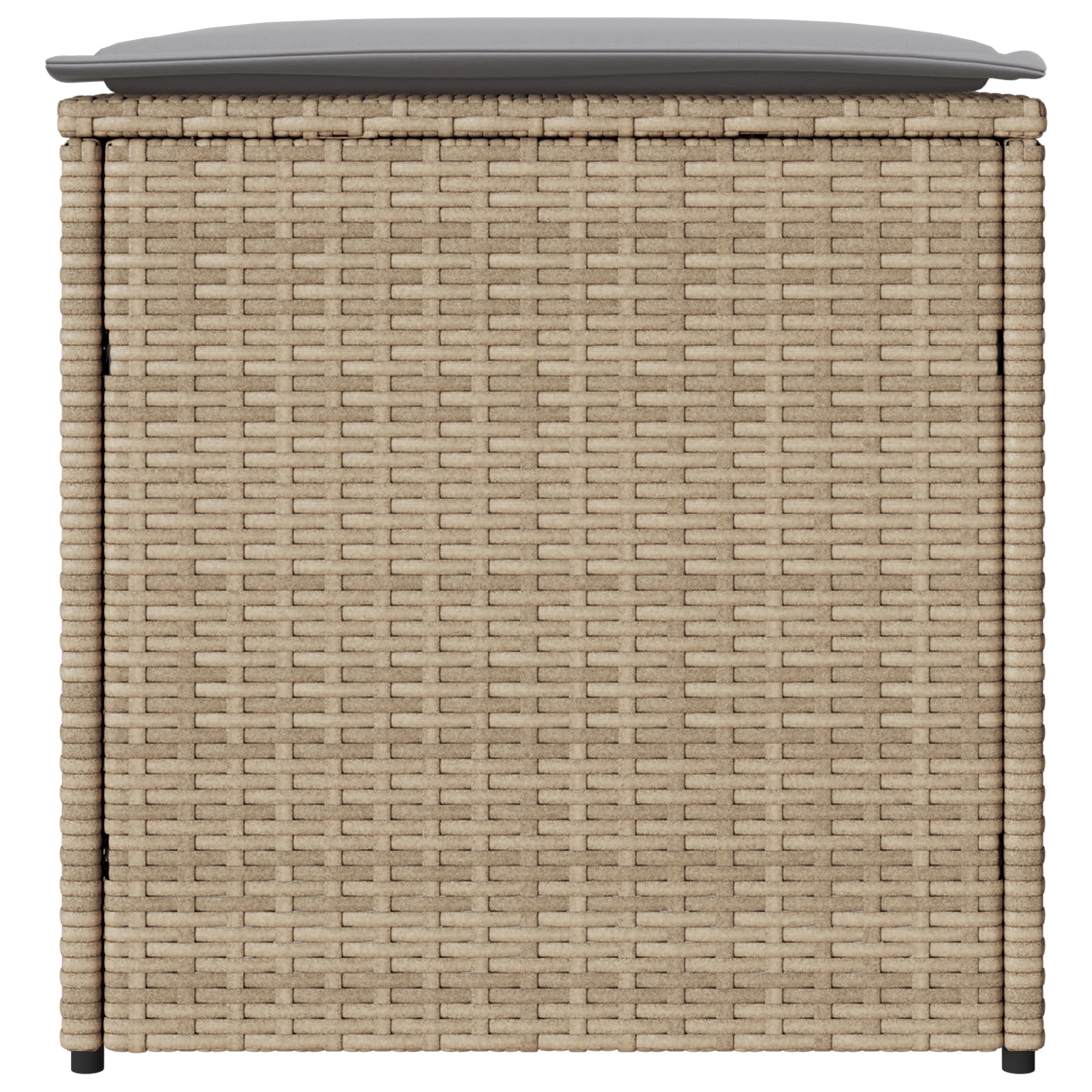 lauko saugojimo dėžė Smėlio spalvos Sintetinis rotangas Vidutinė - Image 6