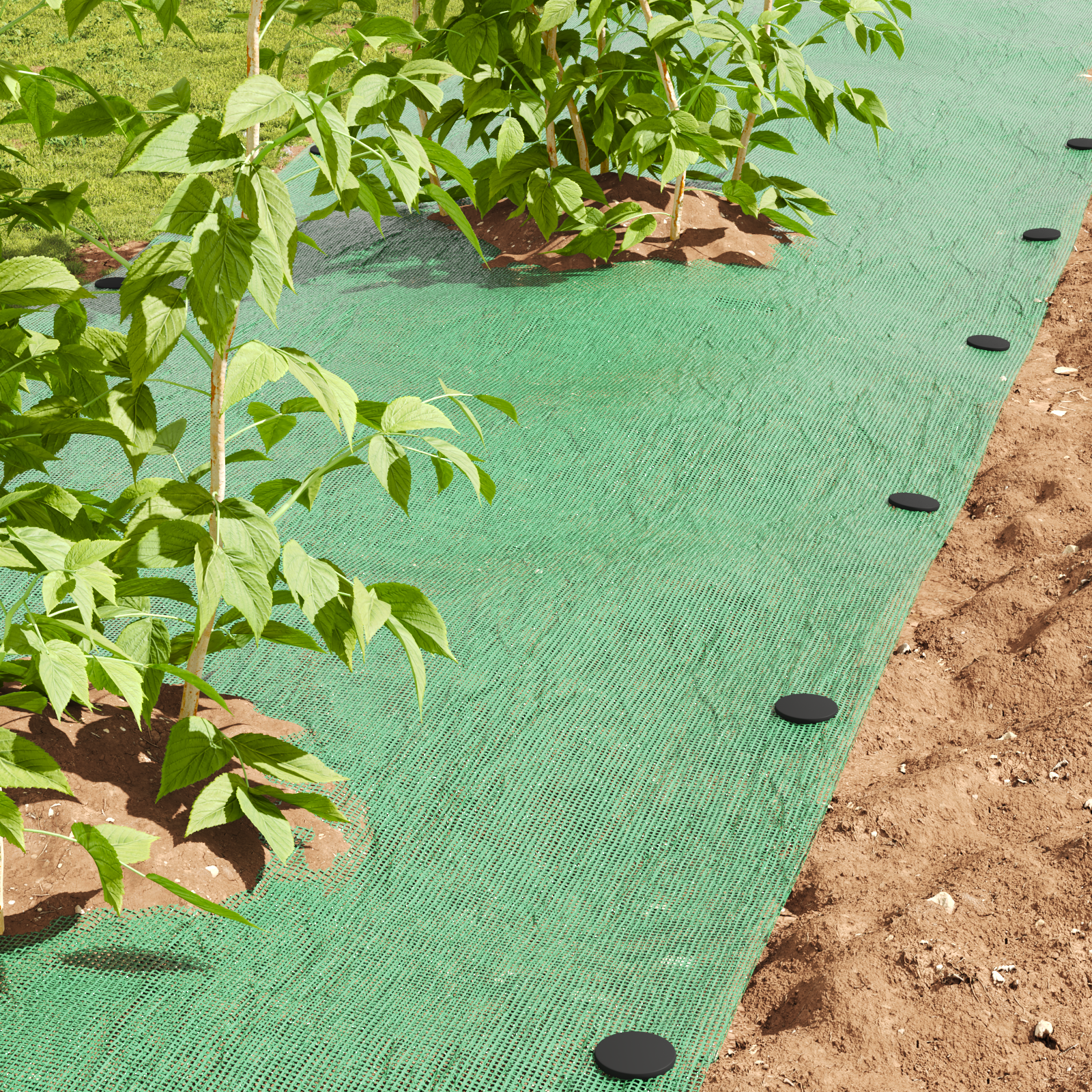 vidaXL Pegs din plastic 500 pcs Negru 3 x 11 cm Plastic