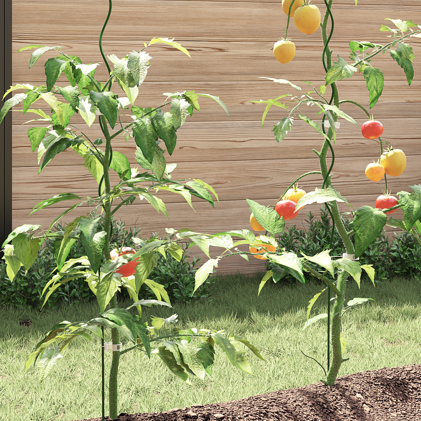Spiral-Pflanzenstützen 5 Stk. 110 cm Stahl - pflanzen-anzucht-rankhilfen - Your Garden Eden