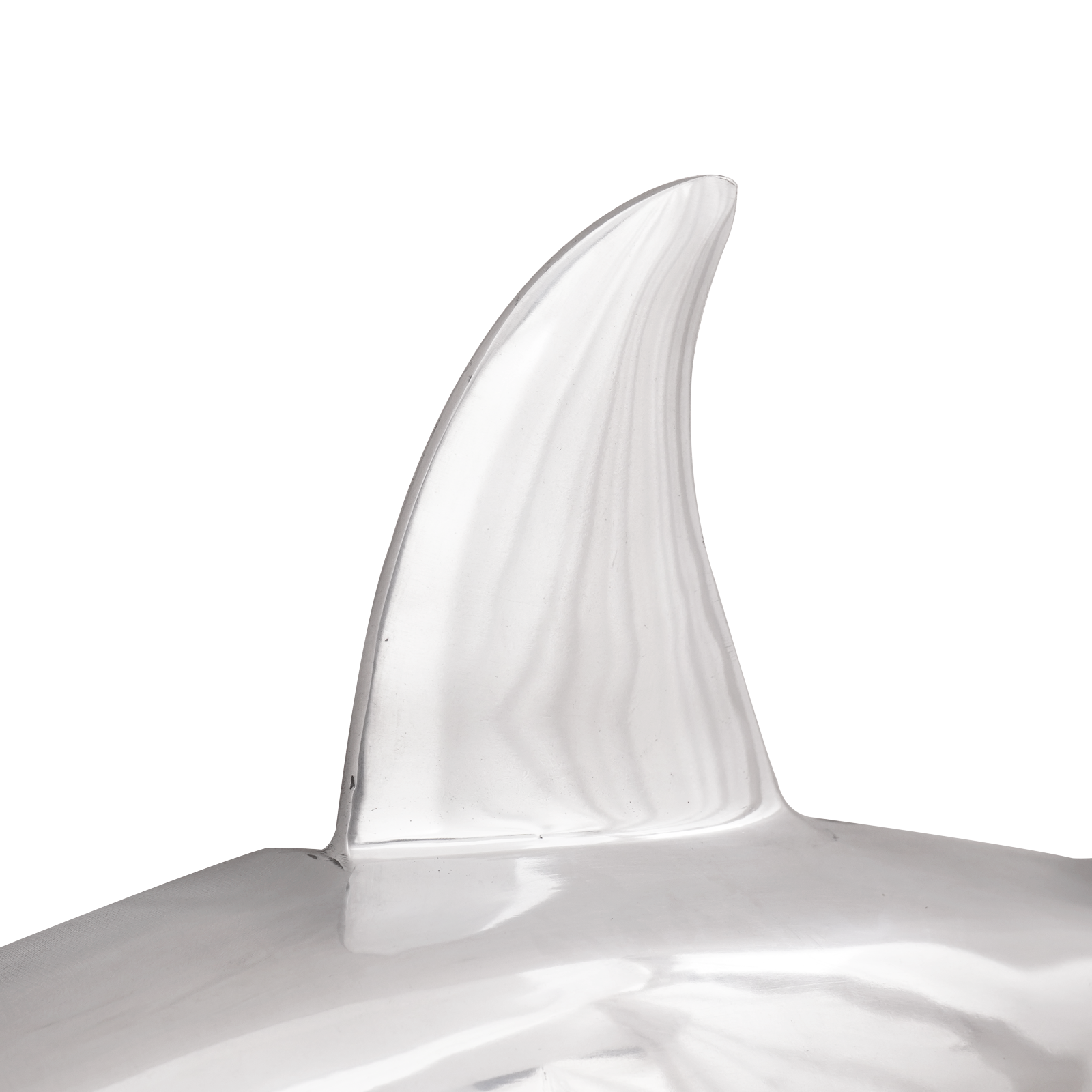 Shark Sculpture Silver 68x20x24 cm Aluminium - Image 6