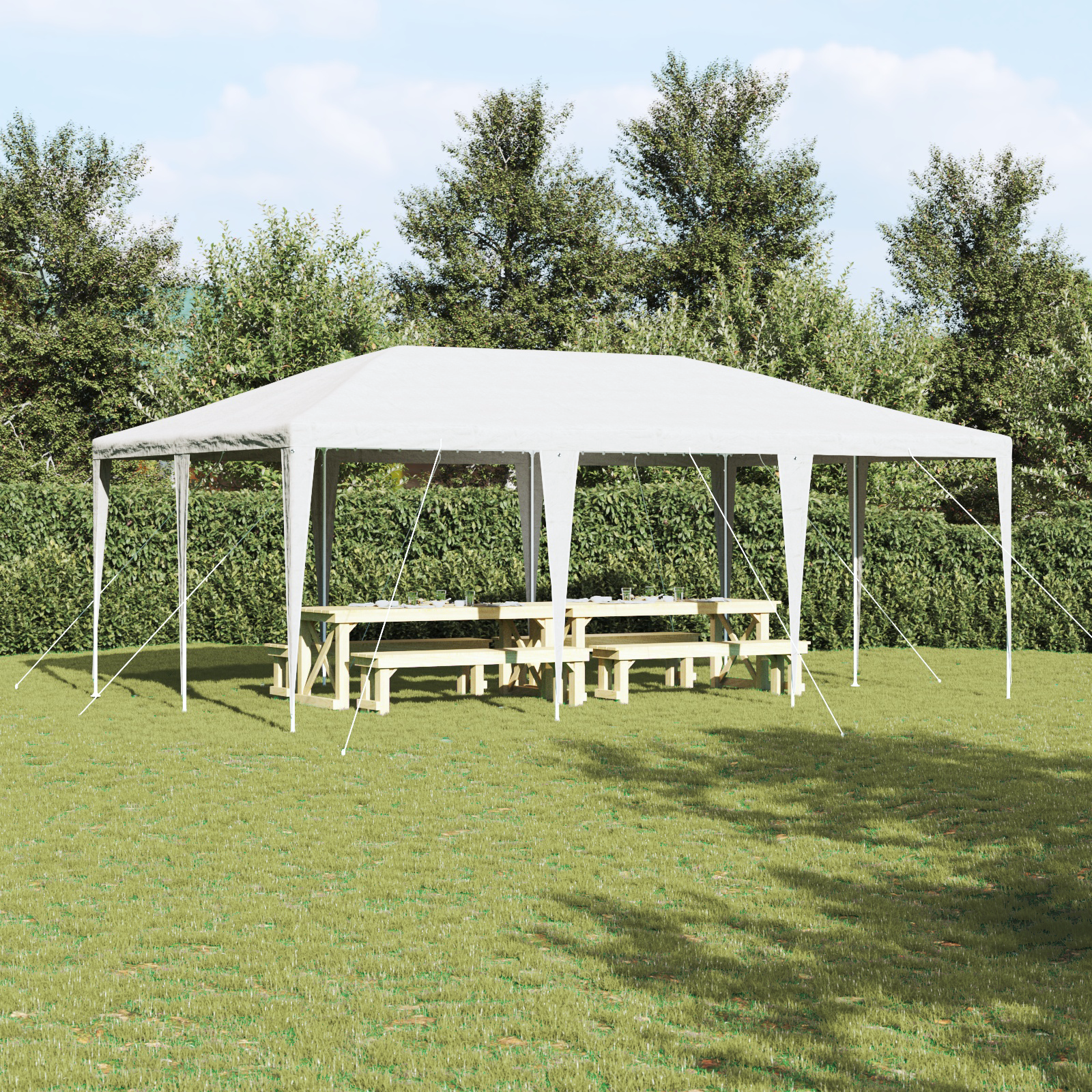 Partytent Wit 6×4 m PE