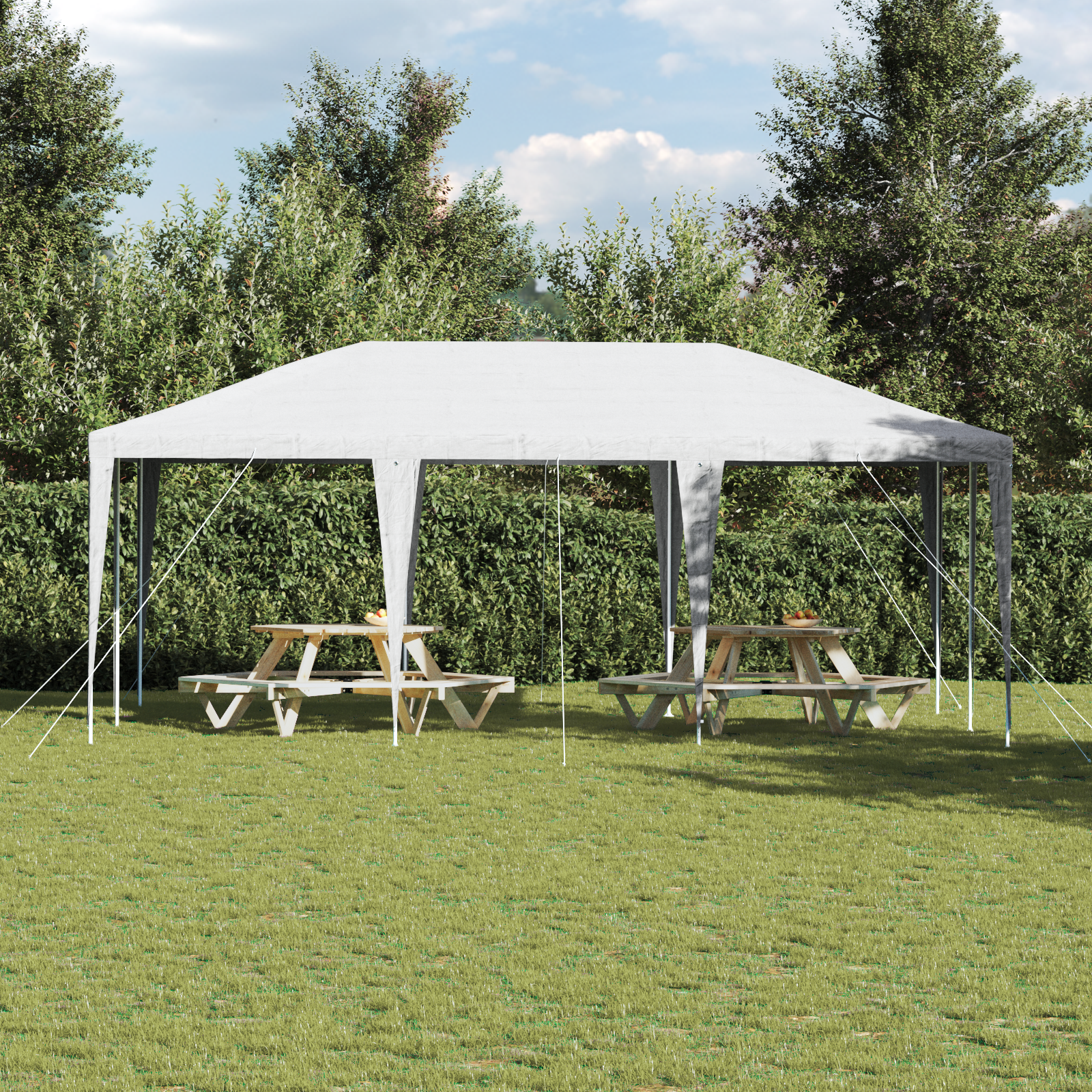 Šventinis tentas Baltas 6x4 m PE - Image 4