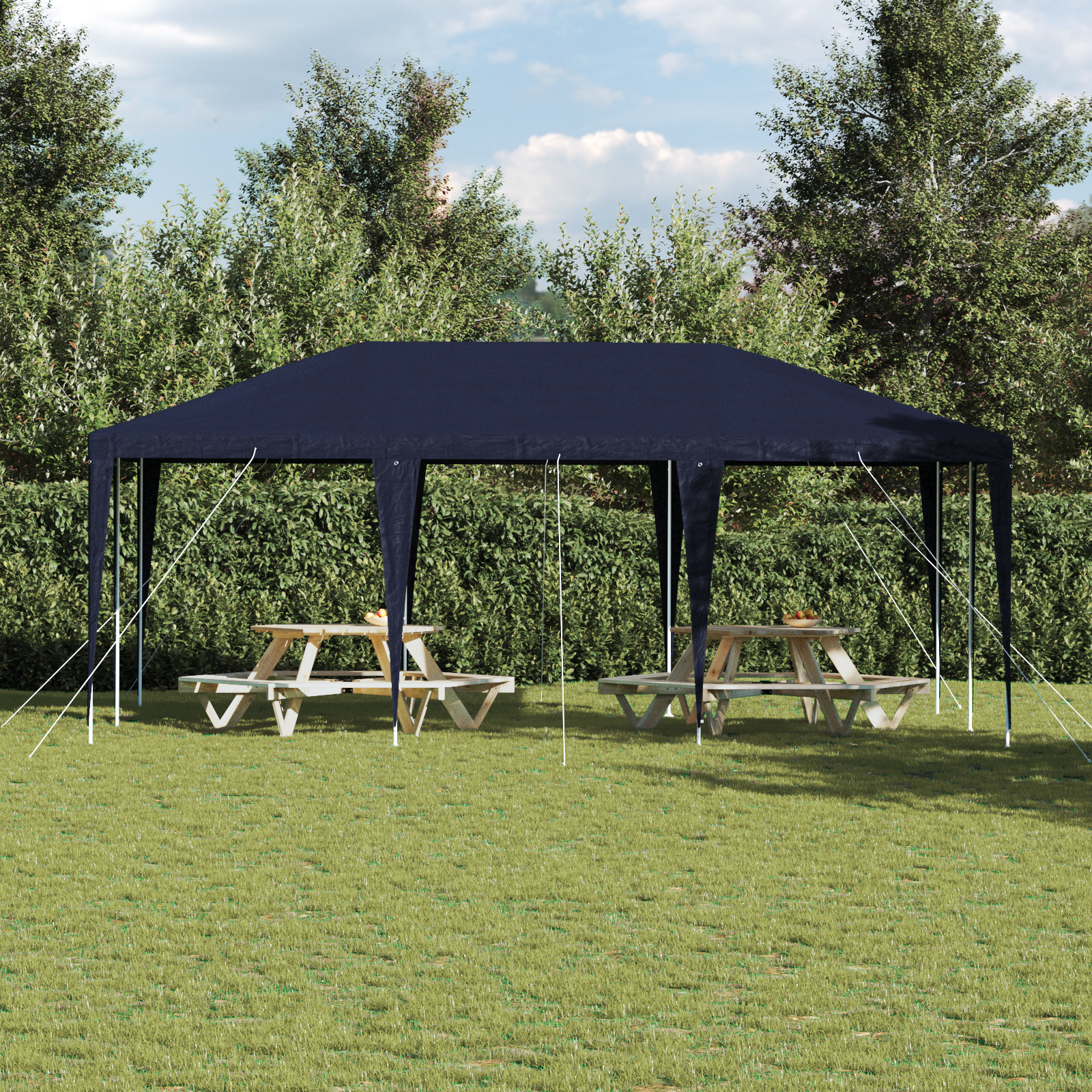 Šventinė palapinė Mėlyna 6x4 m PE - Image 4