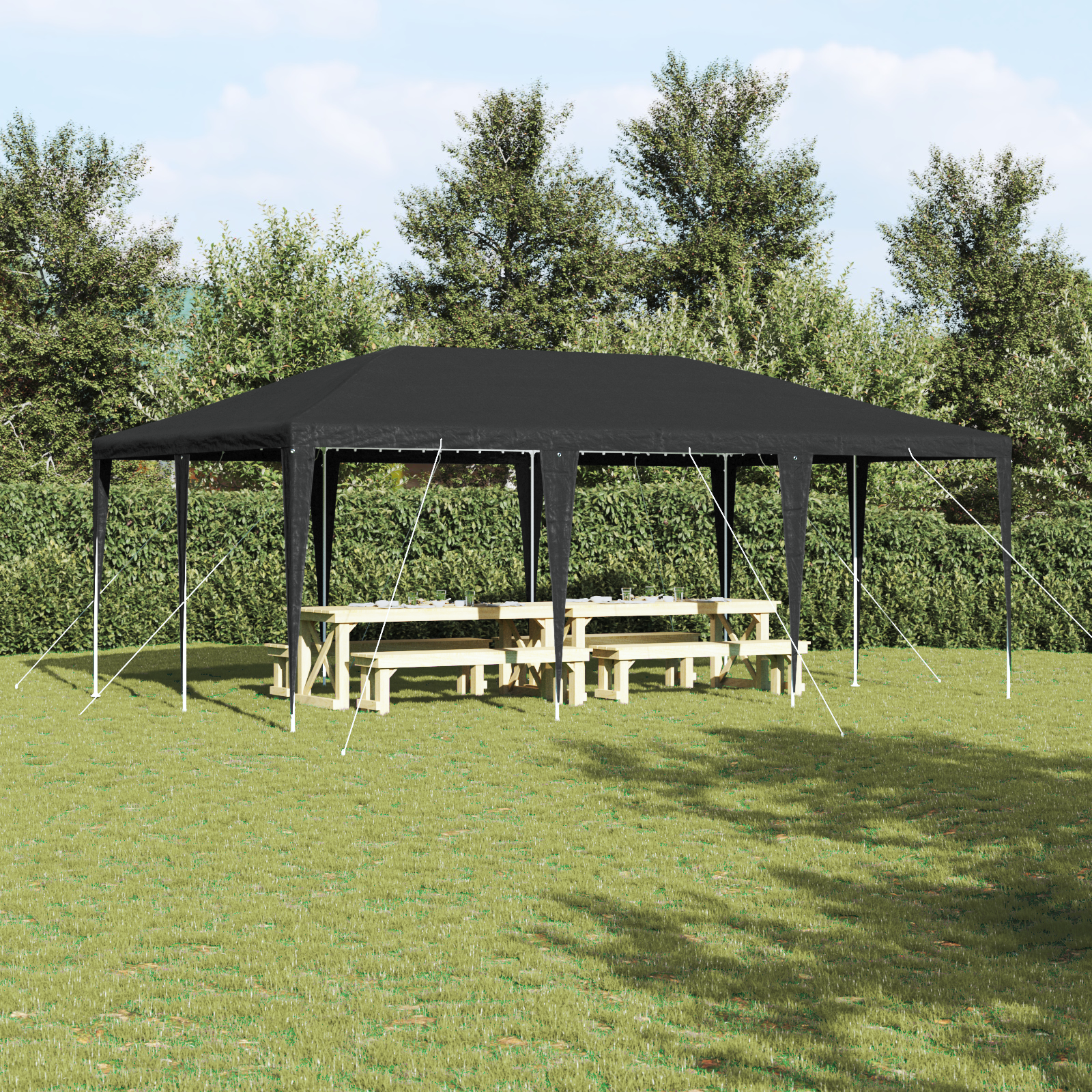 Feesttent Anthraciet 6×4 m PE