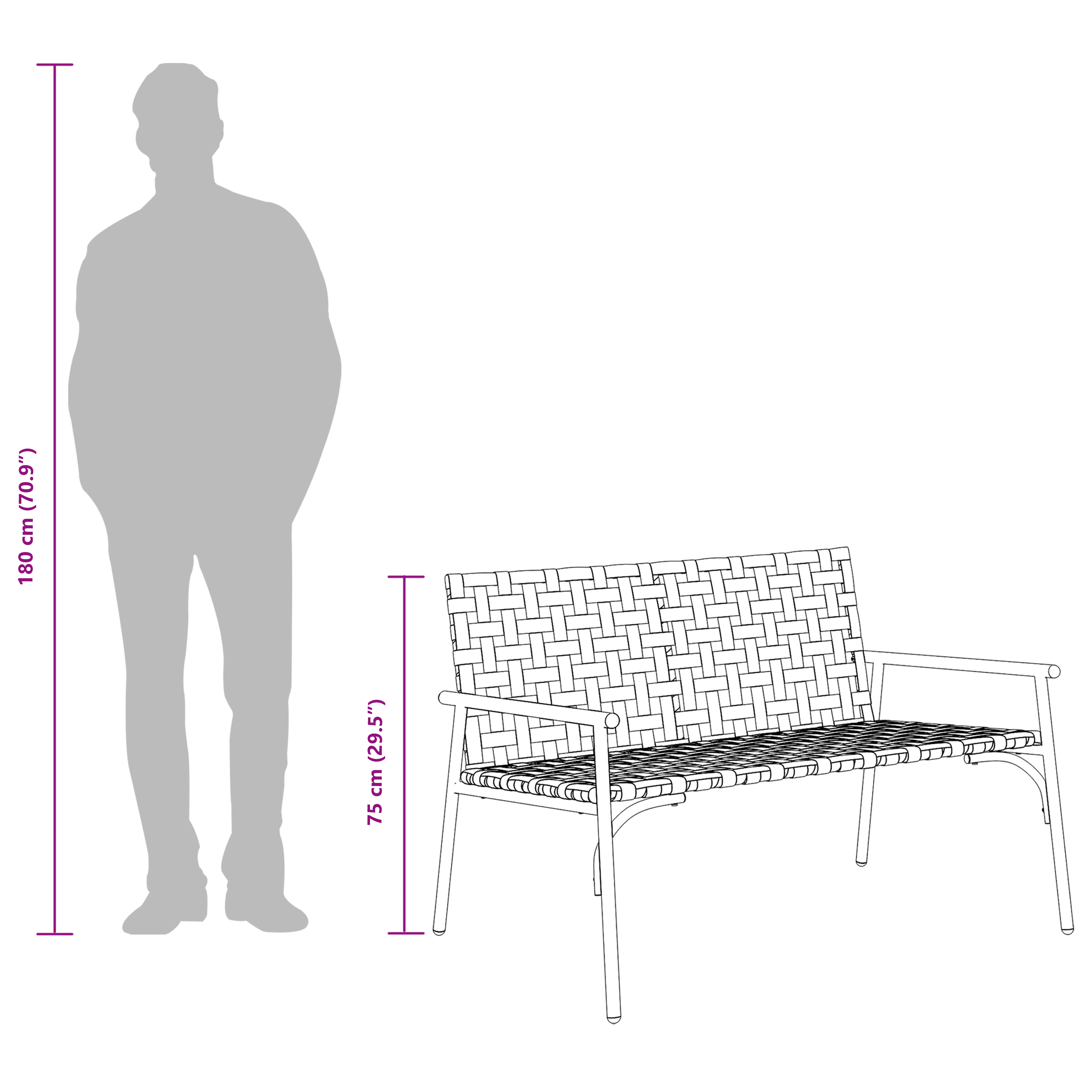 Havebænk Sort 113x79x75 cm Poly Rattan 9 image product%2F42004144%2FP Size Silhouette 42004144 WBG Size Silhouette 01