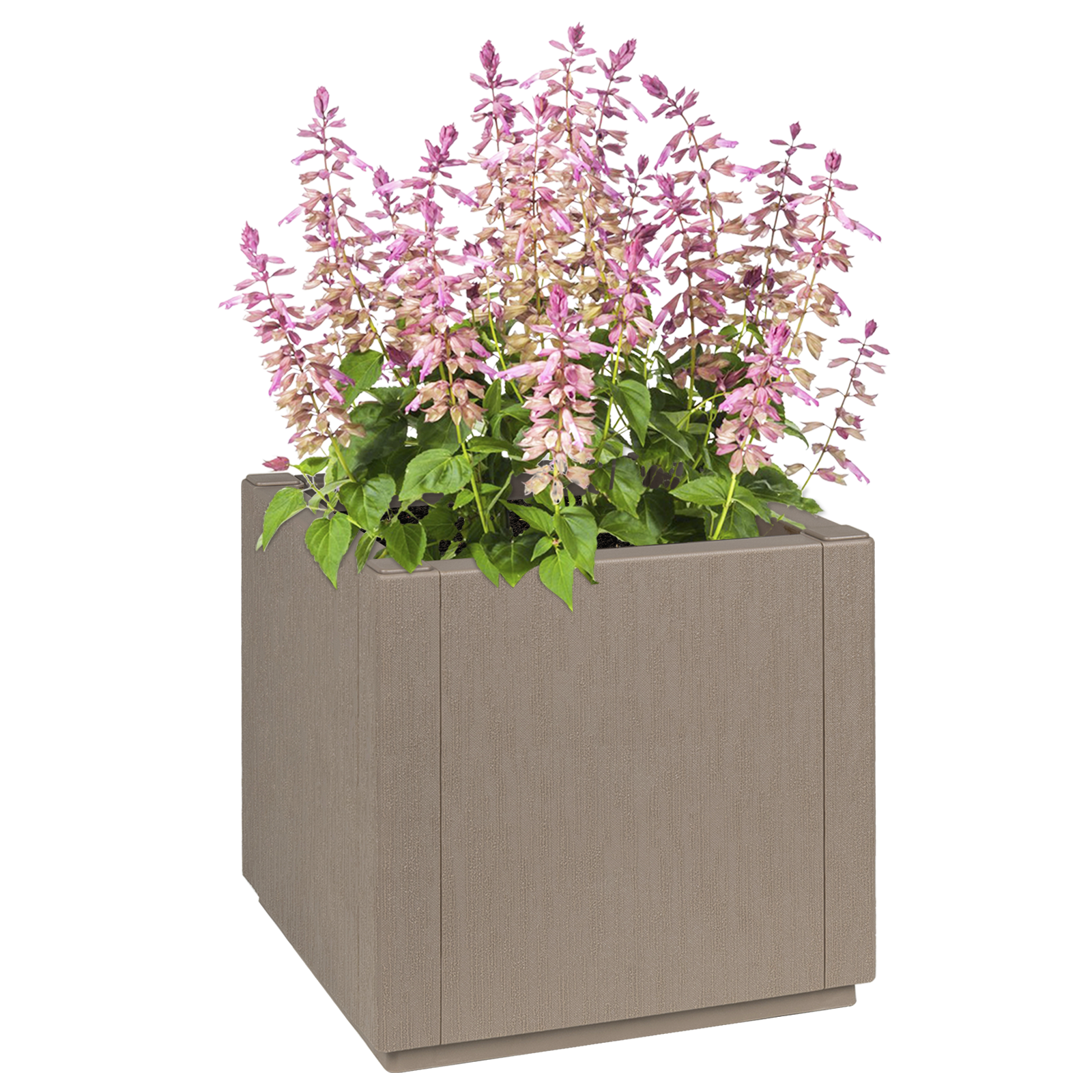 Garden Planter Dove grey PP (polypropylene) 36 x 36 x 35 cm - Image 2
