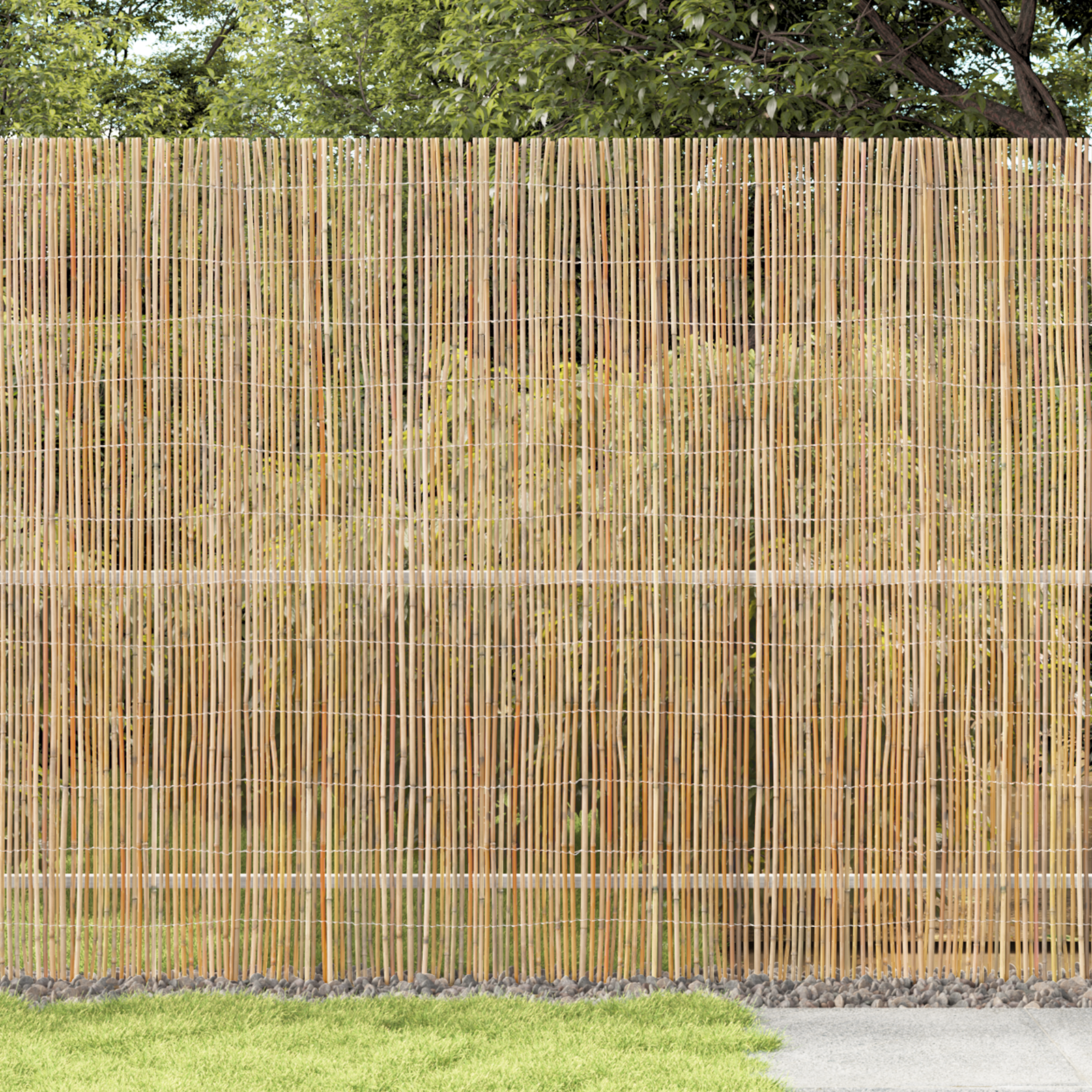 Bamboo Fence 300x180 cm - Image 3