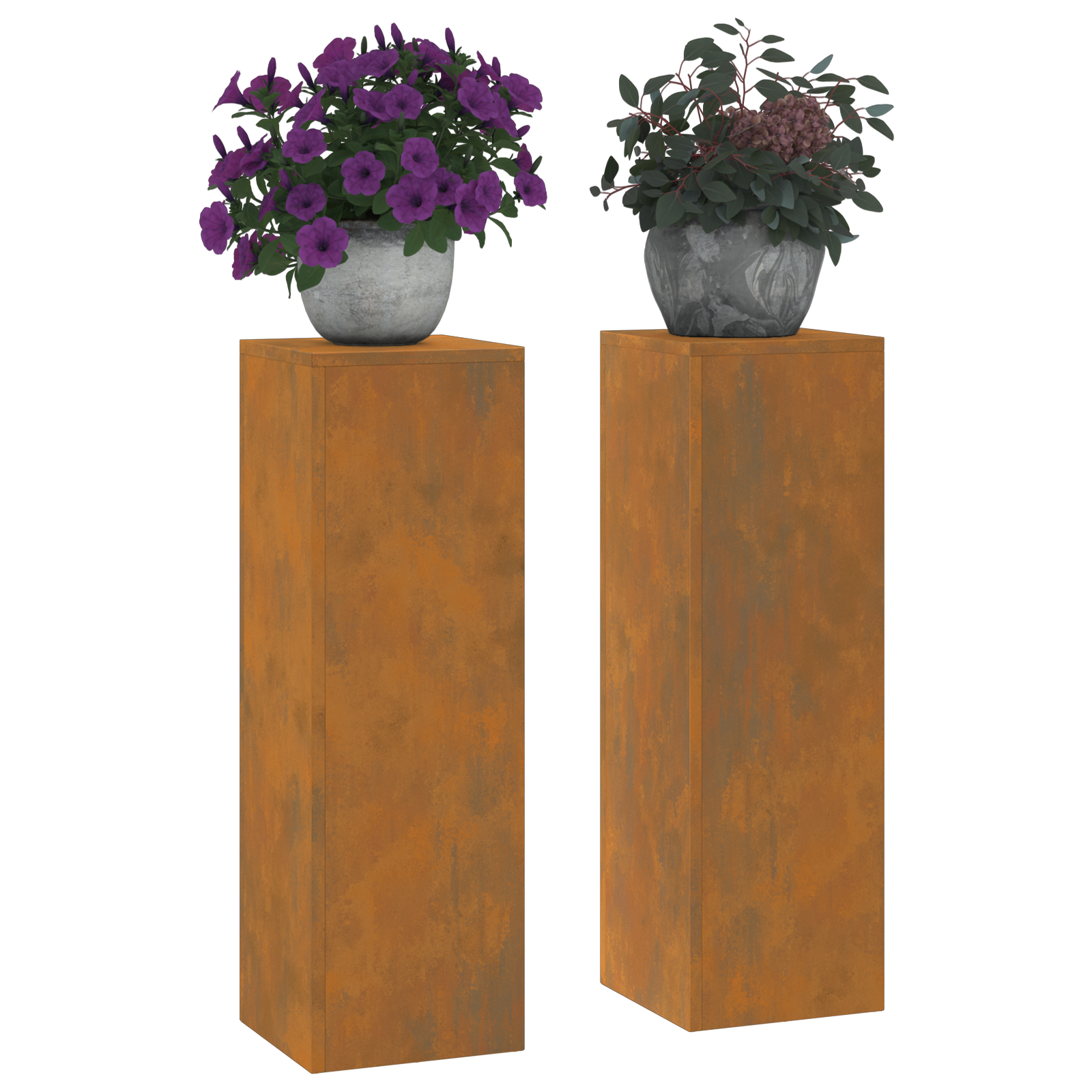 Lauko augalų stendai 2 vnt 24x24x75 cm Oro sąlygomis plienas - Image 3