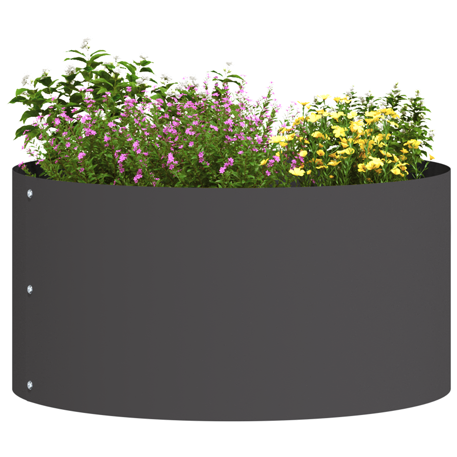 Black Plastic Planters Black Plastic Medium Sturdy - Image 3