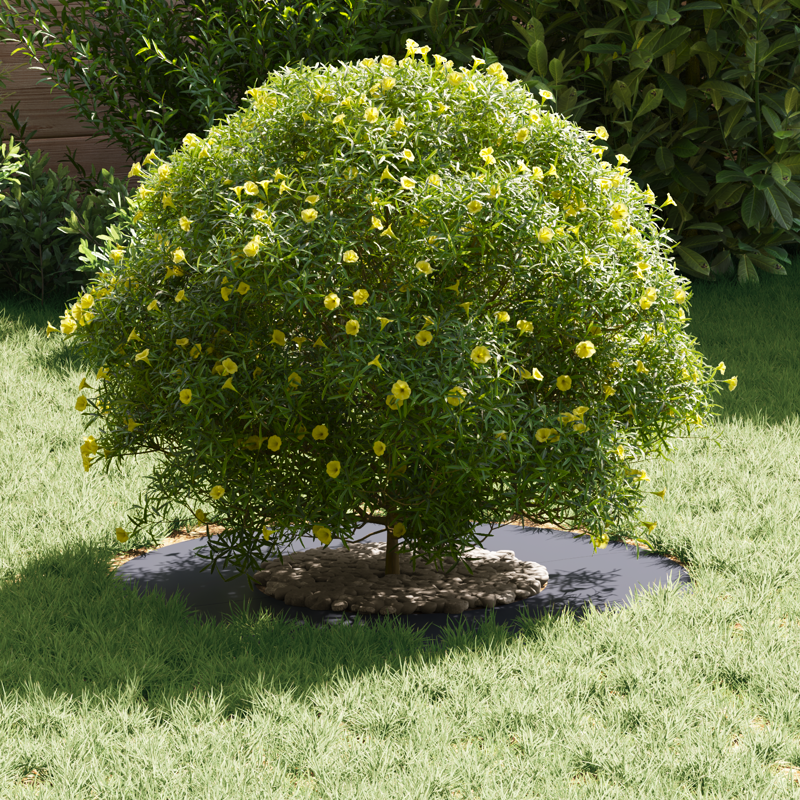 Resin Planter Anthracite Resin Medium Planters - Image 3