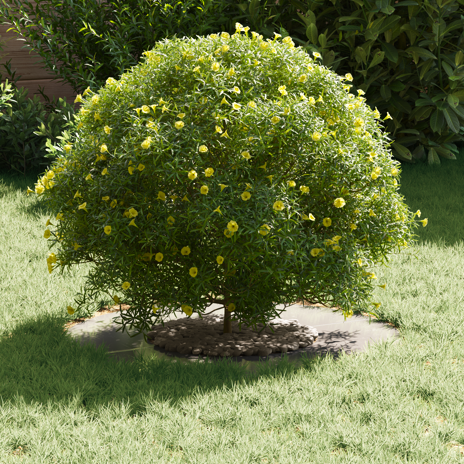 Stainless Steel Planter Stainless Steel Medium Decorative Inlays - Image 3