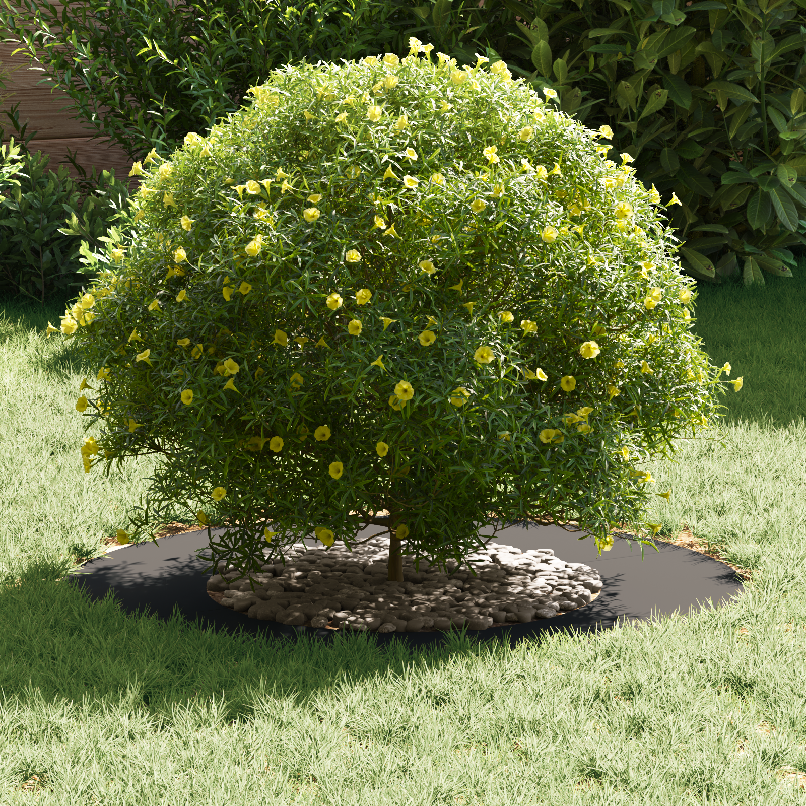 Plastic Planters Black Plastic Large Durable Plastic Planter - Image 3