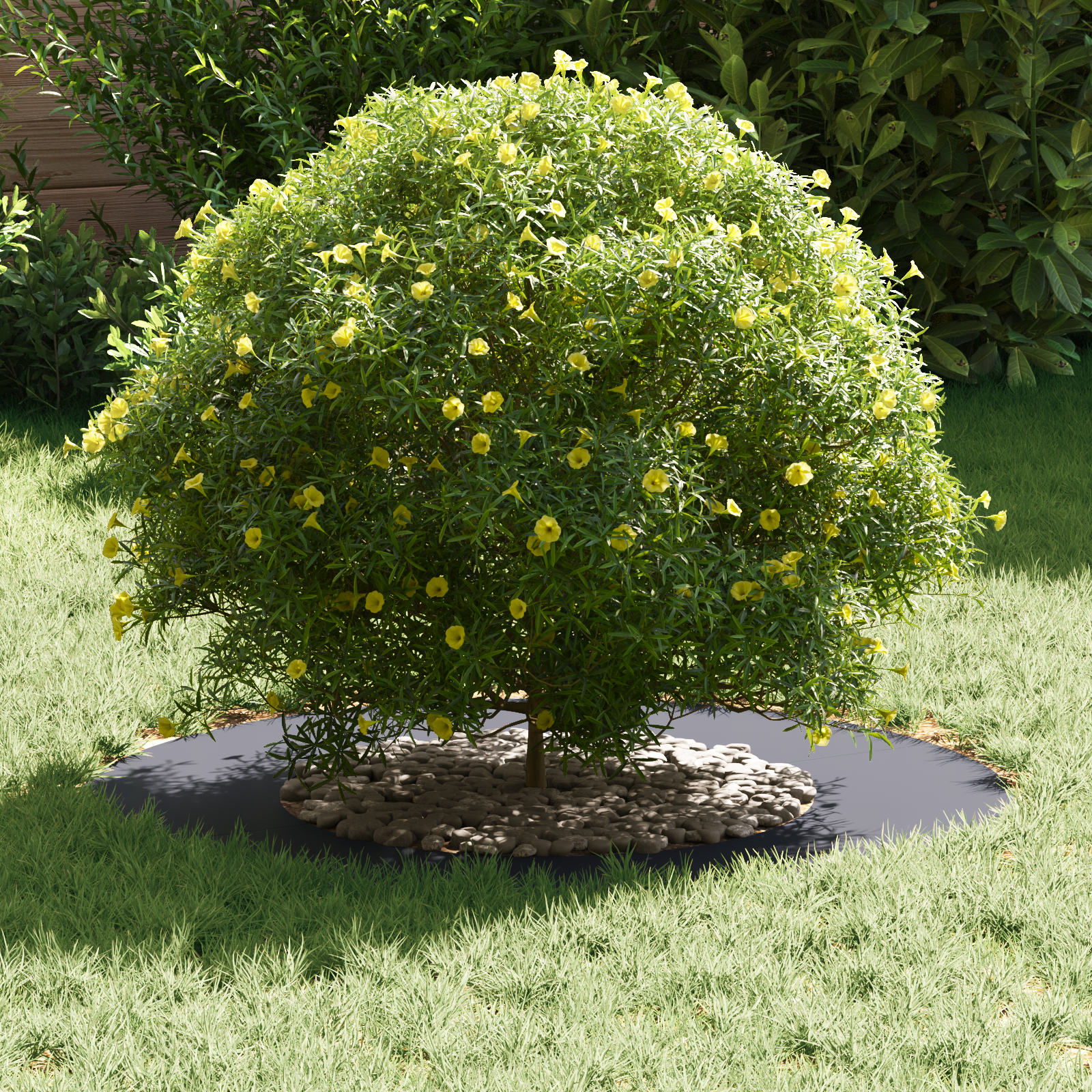 Plastic Planter Anthracite Durable Plastic Medium - Image 3