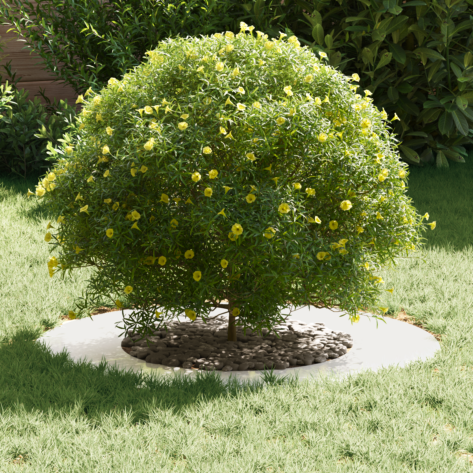 Stainless Steel Planter Stainless Steel Large Durable - Image 3