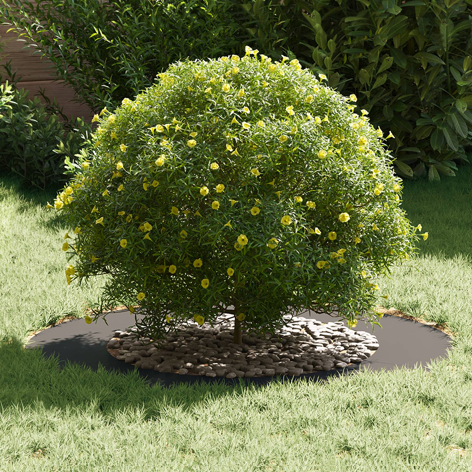 Plastic Planter Black Plastic Large Round Modern - Image 3