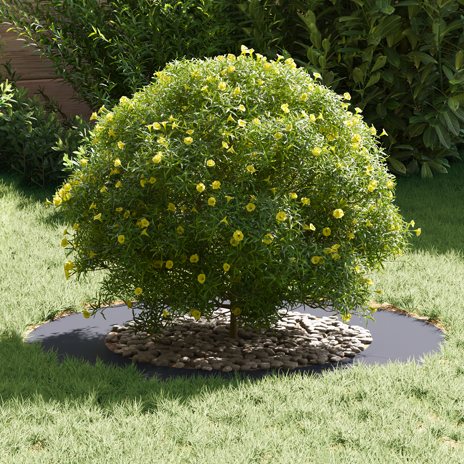 Anthracite Planter Anthracite Plastic Large Big Planter Round - Image 3